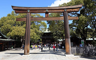 Meiji Jingu Shine