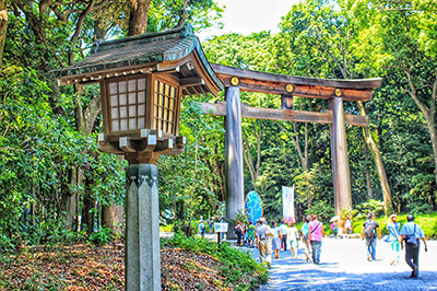 Meiji Jingu Shine