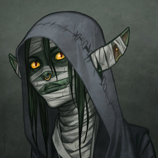 Portrait of Nott the goblin Rogue